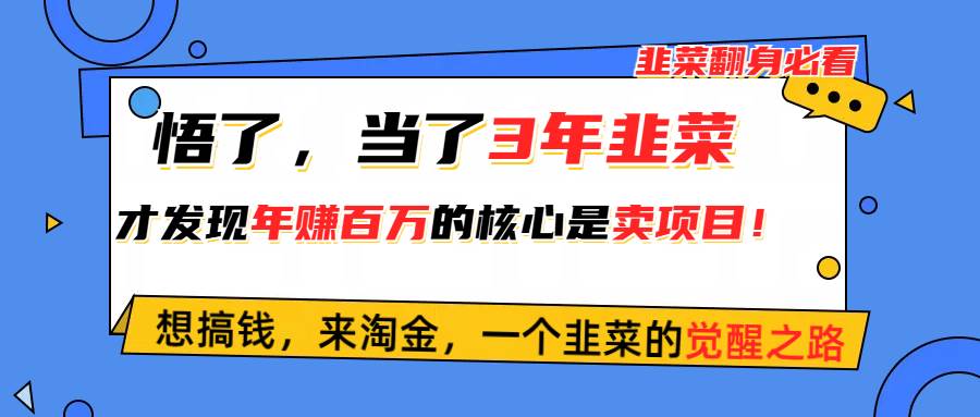 悟了，当了3年韭菜，才发现网赚圈年赚100万的核心是卖项目，含泪分享！-小白资源网