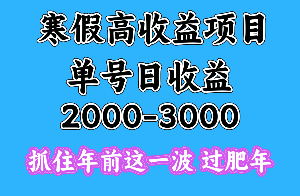 寒假期间一天收益2000-3000+，抓住年前这一波-小白资源网