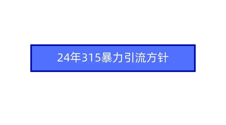 2024年315暴力引流方针-小白资源网
