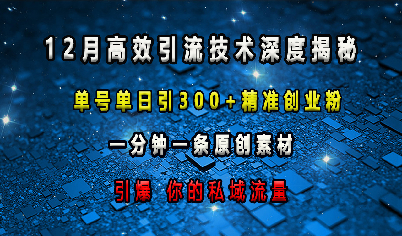 12月高效引流技术深度揭秘 ，单号单日引300+精准创业粉，一分钟一条原创素材，引爆你的私域流量-小白资源网