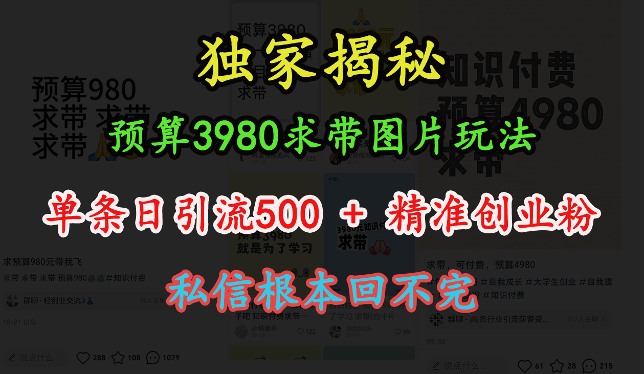 “小红书”预算3980求带 图片玩法,单条日引流500+精准创业粉,私信根本回不完-小白资源网