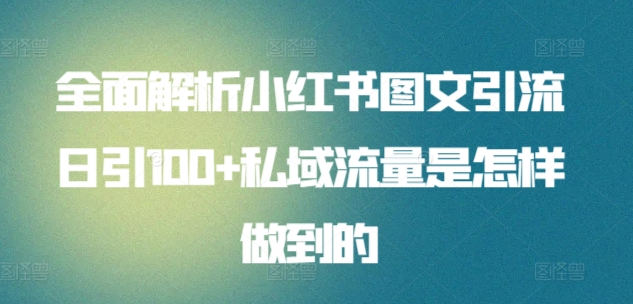 全面解析小红书图文引流日引100私域流量是怎样做到的-小白资源网