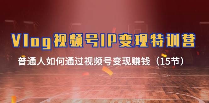 Vlog 视频号IP变现特训营，普通人如何通过视频号变现赚钱（15节）-小白资源网