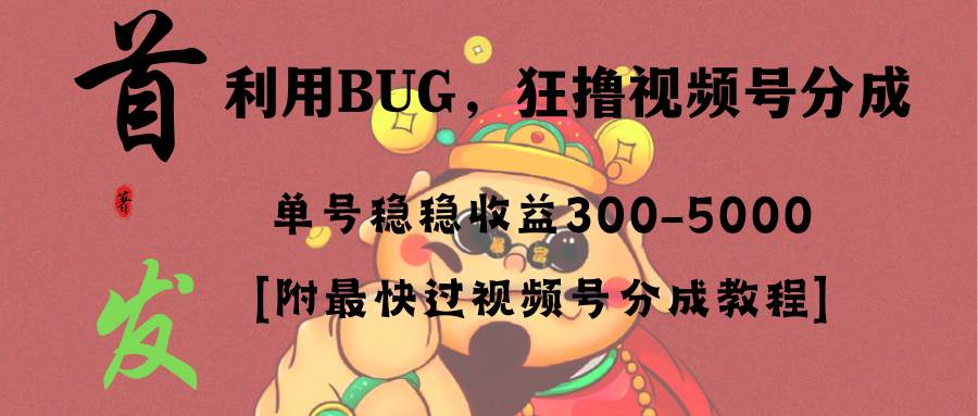 全网独家首发，视频号BUG，超短期项目，单号每日净收益300-5000！-小白资源网