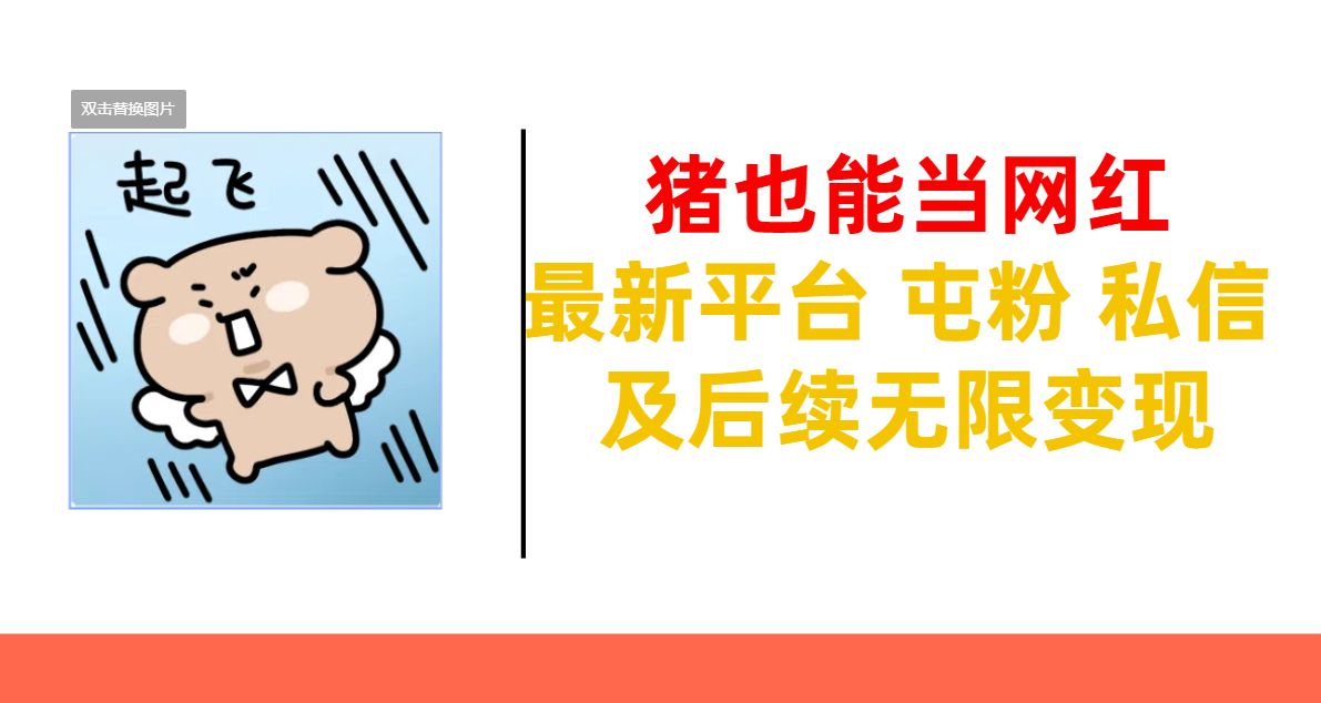 猪也能当网红-最新平台 屯粉 交流 私信 及后续无限变现-小白资源网