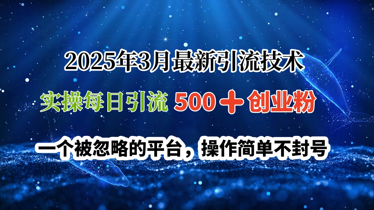 2025年3月最新引流技术，实操每日引流500➕创业粉，一个被忽略的平台，操作简单不封号-小白资源网