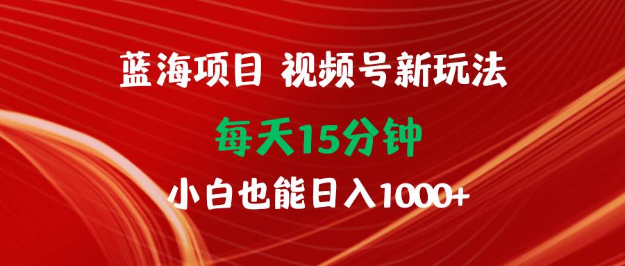 蓝海项目视频号新玩法 每天15分钟 小白也能日入1000+-小白资源网