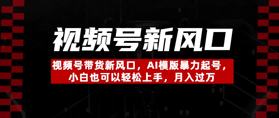 视频号带货新风口,AI模版暴力起号,小白也可以轻松上手,月入过万-小白资源网