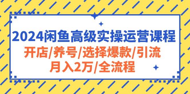 2024闲鱼高级实操运营课程：开店/养号/选择爆款/引流/月入2万/全流程-小白资源网