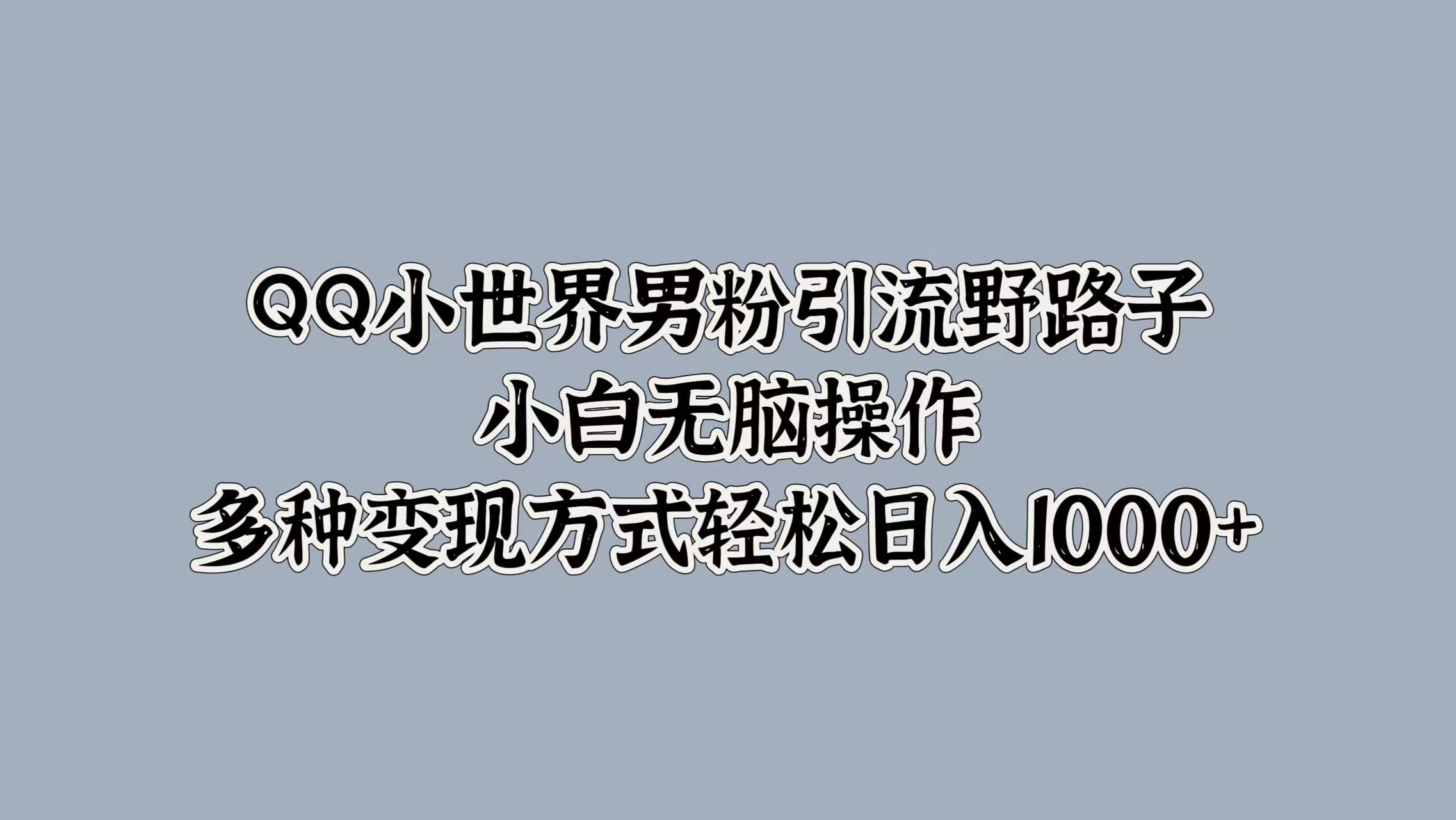 QQ小世界男粉引流野路子，小白无脑操作，多种变现方式轻松日入1000+-小白资源网