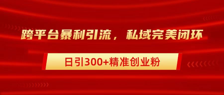 跨平台暴力引流，私域完美闭环，日引300+精准创业粉-小白资源网