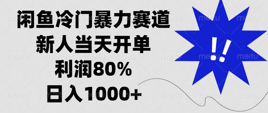 闲鱼冷门暴力赛道，利润80%，日入1000+新人当天开单，-小白资源网
