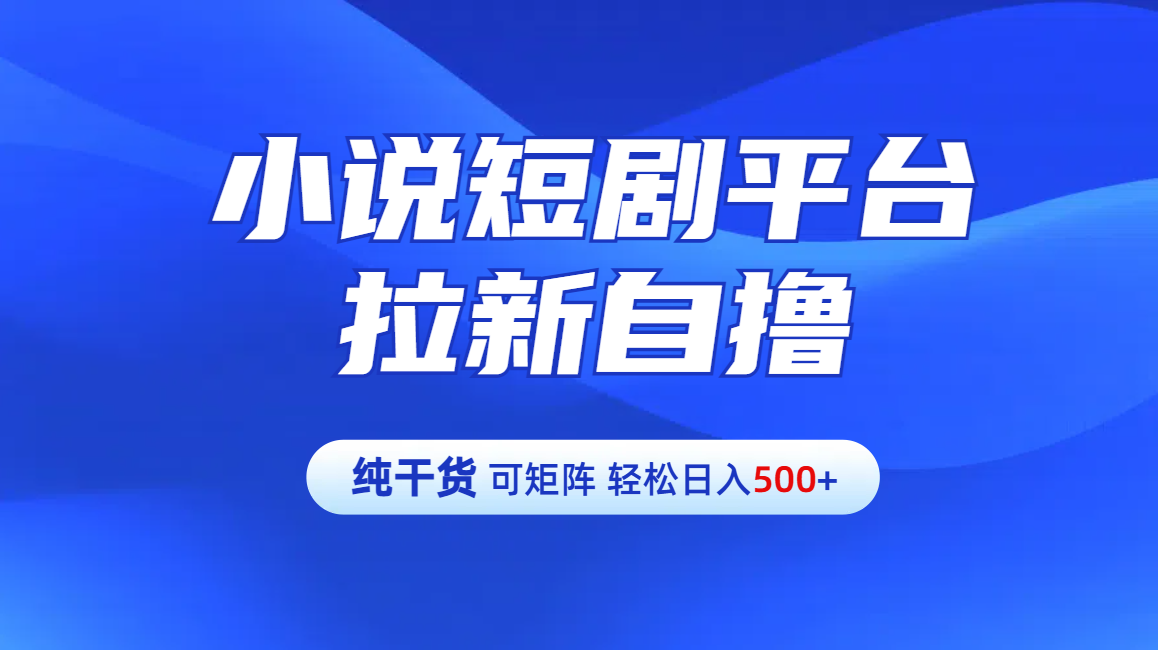 【纯干货】小说短剧平台拉新自撸玩法详解-单人轻松日入500+-小白资源网