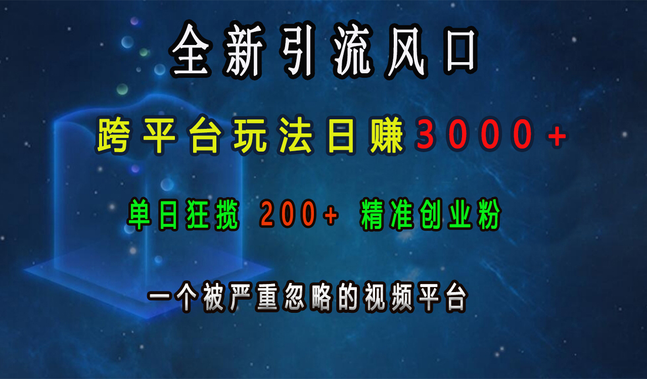 全新引流风口，跨平台玩法日赚3000+，单日狂揽200+精准创业粉，一个被严重忽略的视频平台-小白资源网