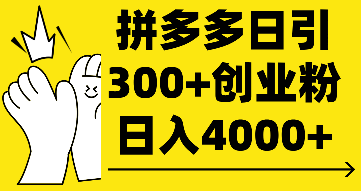 拼多多日引300+创业粉 日入4000+-小白资源网