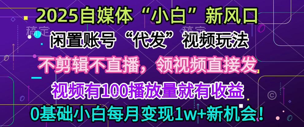 2025每月躺赚5w+新机会,闲置视频账号一键代发玩法,0粉不实名不剪辑,领了视频直接发,0基础小白也能日入300+-小白资源网