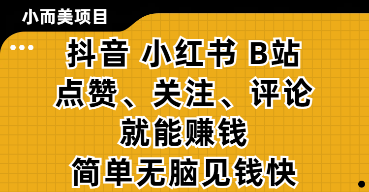 小而美的项目,抖音、小红书、B站视频点赞、关注、评论就能赚钱,简单无脑立见收益!妥妥的零撸项目-小白资源网