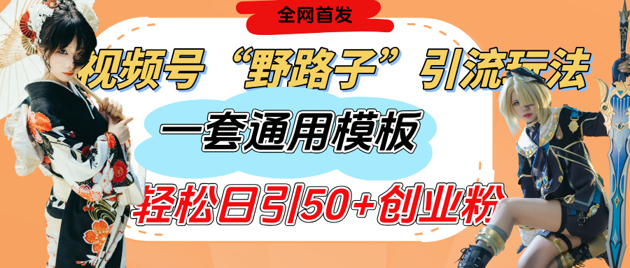 视频号“野路子”玩法，评论区疯狂截流，一套模板单日单号引流50+创业粉-小白资源网