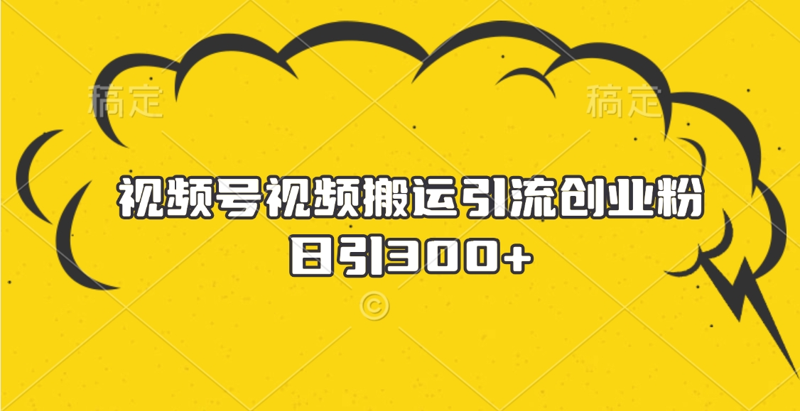 视频号视频搬运引流创业粉,日引300+-小白资源网