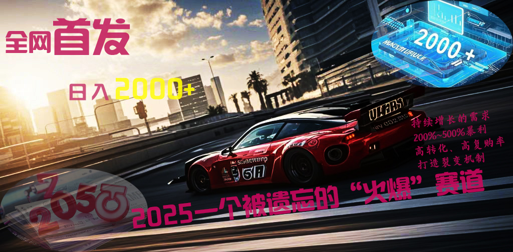 全网首发：2025一个被遗忘的“火爆”赛道轻松日入2000+-小白资源网