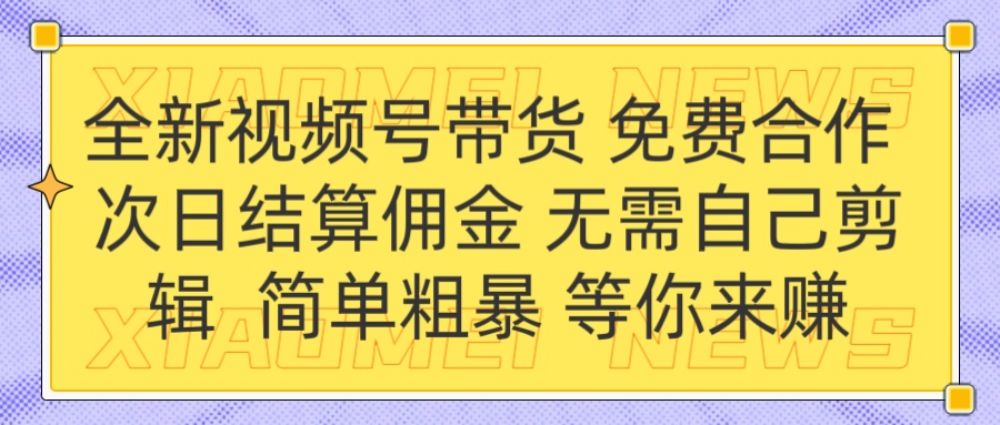 全新视频号 免费合作 佣金次日结算 无需自己剪辑-小白资源网