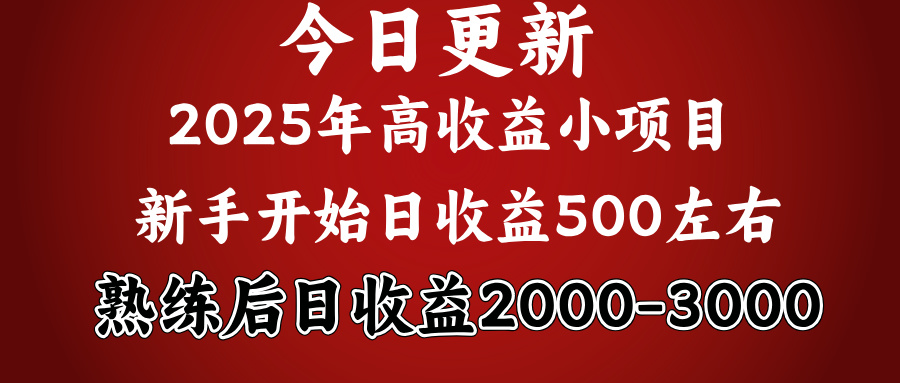 2025开年好项目，新手日收益500+ 熟练掌握后，日收益平均2000多-小白资源网