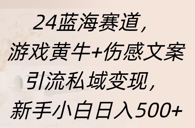 24蓝海赛道,游戏黄牛+伤感文案引流私域变现,新手日入500+-小白资源网