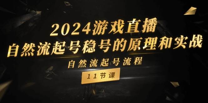 2024游戏直播-自然流起号稳号的原理和实战，自然流起号流程（11节）-小白资源网