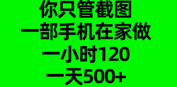 你只管截图，一部手机在家做，一小时120，一天500+-小白资源网