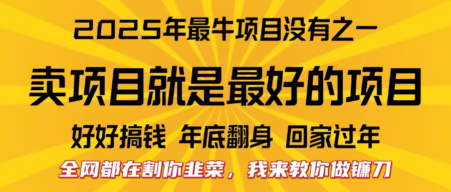 全网都在割你韭菜，我来教你做镰刀。卖项目就是最好的项目，2025年最牛互联网项目-小白资源网