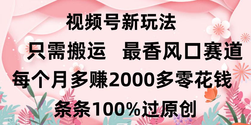 日入2000+,条条100%过原创,视频号最香风口赛道,小白轻松上手-小白资源网