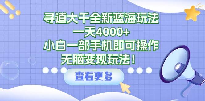 寻道大千全新蓝海玩法，一天4000+，小白一部手机即可操作，无脑变现玩法！-小白资源网