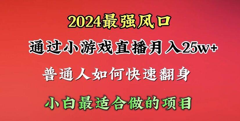 2024年最强风口，通过小游戏直播月入25w+单日收益5000+小白最适合做的项目-小白资源网
