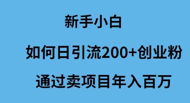 新手小白如何日引流200+创业粉通过卖项目年入百万-小白资源网