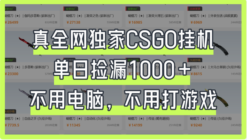 真全网独家CSGO挂机，单日捡漏1000+-小白资源网
