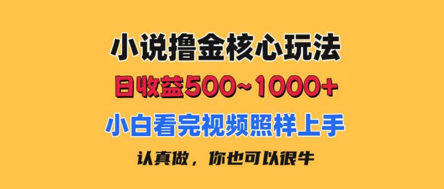 小说撸金核心玩法，日收益500-1000+，小白看完照样上手，0成本有手就行-小白资源网