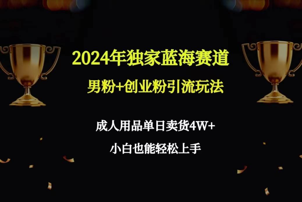 2024年独家蓝海赛道男粉+创业粉引流玩法，成人用品单日卖货4W+保姆教程-小白资源网