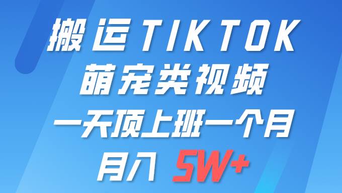 一键搬运TIKTOK萌宠类视频 一部手机即可操作 所有平台均可发布 轻松月入5W+-小白资源网