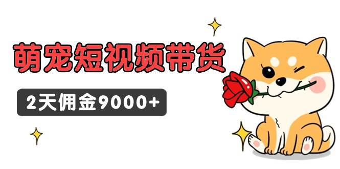 东哲日记·萌宠短视频带货，2天佣金9000+-小白资源网