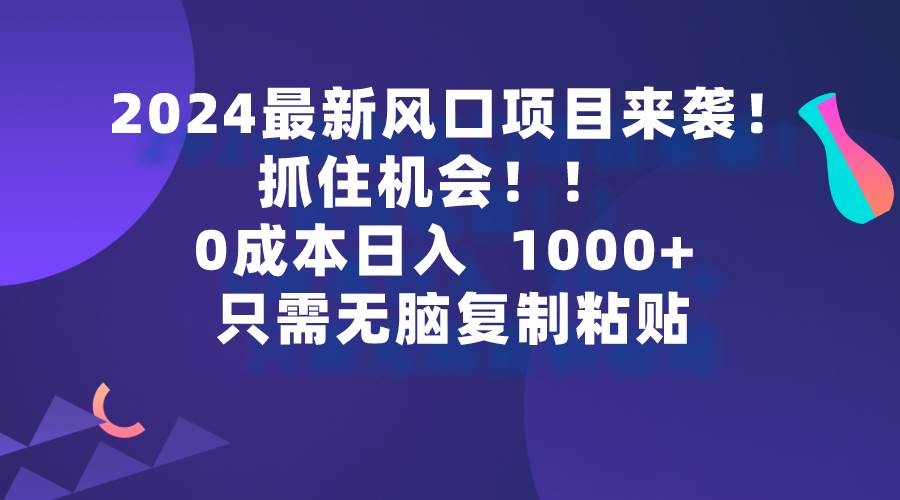 2024最新风口项目来袭，抓住机会，0成本一部手机日入1000+，只需无脑复…-小白资源网