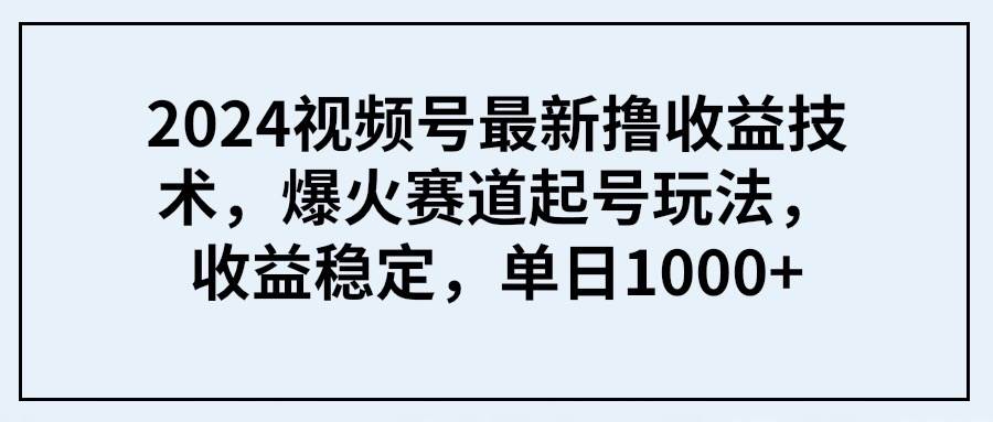 2024视频号最新撸收益技术，爆火赛道起号玩法，收益稳定，单日1000+-小白资源网
