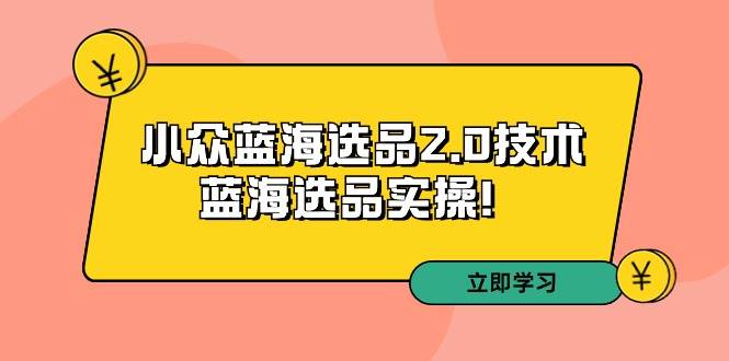 拼多多培训第33期：小众蓝海选品2.0技术-蓝海选品实操！-小白资源网