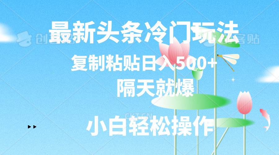 最新头条冷门玩法，隔天就爆，复制粘贴日入500+-小白资源网