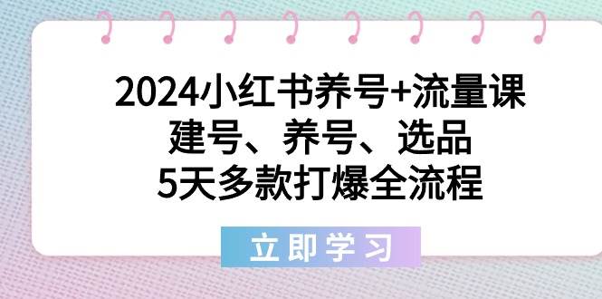 2024小红书养号+流量课：建号、养号、选品，5天多款打爆全流程-小白资源网