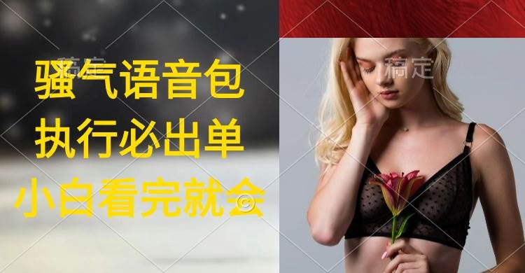 执行就出单，日入2000+，超火骚气语音包，小白看完课程就能马上实操-小白资源网