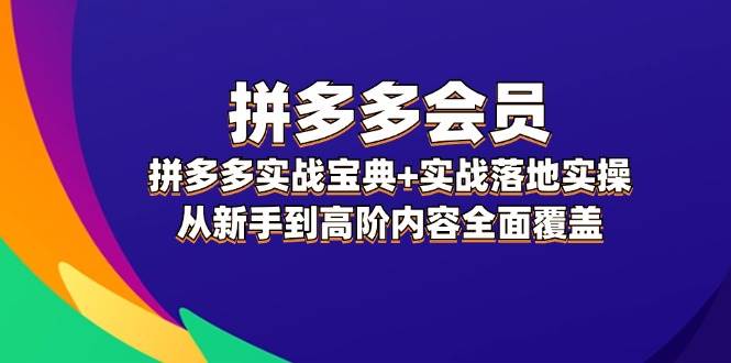 拼多多 会员，拼多多实战宝典+实战落地实操，从新手到高阶内容全面覆盖-小白资源网