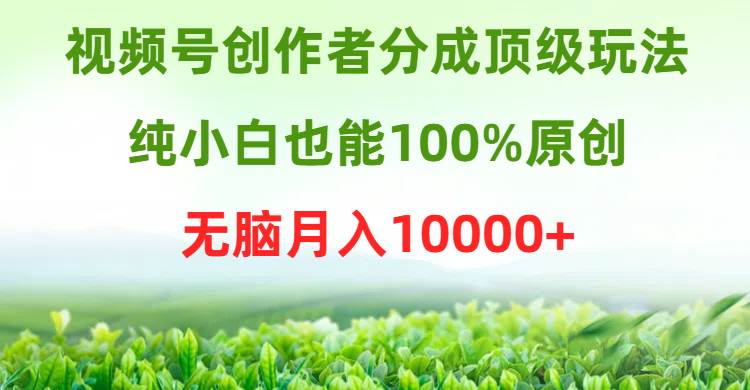 视频号创作者分成顶级玩法，纯小白也能100%原创，无脑月入10000+-小白资源网