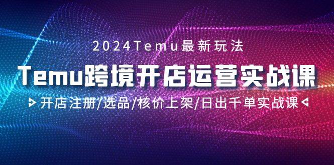 2024Temu跨境开店运营实战课，开店注册/选品/核价上架/日出千单实战课-小白资源网
