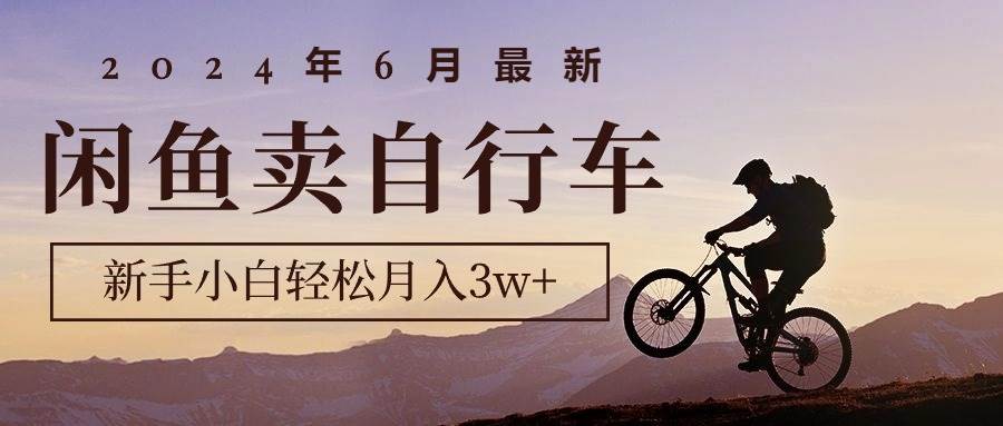 2024年6月最新闲鱼卖自行车，新手小白轻松月入3w+项目-小白资源网