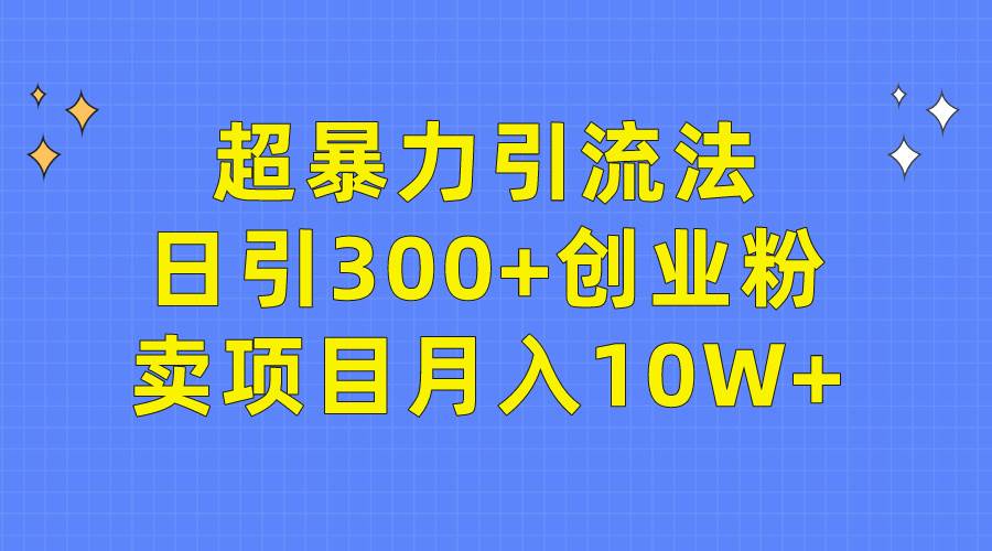 超暴力引流法，日引300+创业粉，卖项目月入10W+-小白资源网